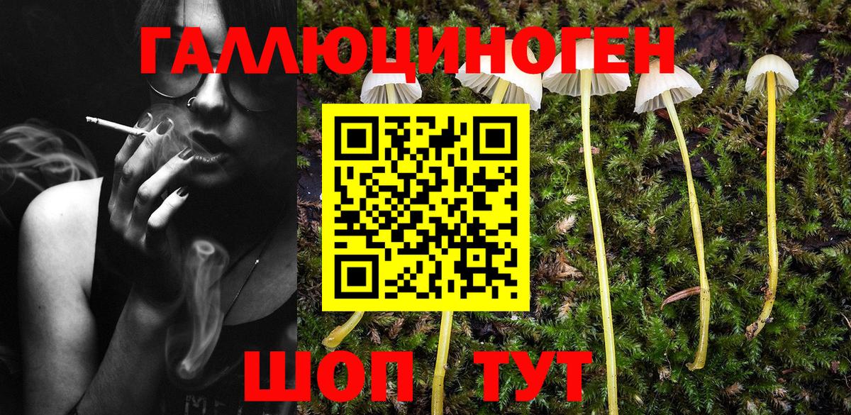 Галлюциногенные грибы Magic Shrooms  Вход с VPN  Нижнекамск 